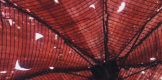 Czy warto się Ubezpieczać?