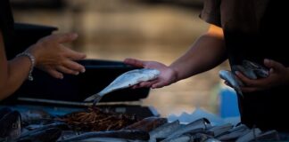 Jak sprzedawać w social mediach?