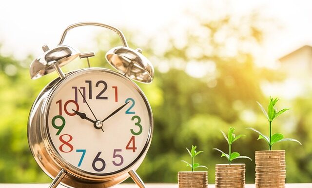 Kto zarządza strona internetowa?