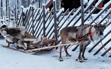 Ile slajdów na 15 minut?