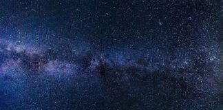 Jakie są darmowe domeny?