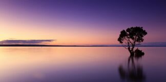 Jak pomóc dziecku które czuję się samotna?