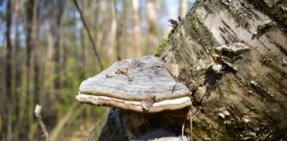 Co lepsze od Tindera?