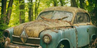 Jakie orzechy są dobre na pamięć?