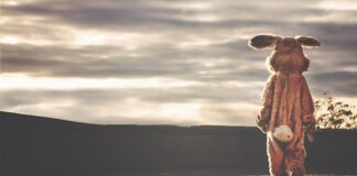 Ile kosztuje indywidualne ubezpieczenie na życie?