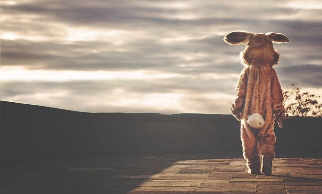 Ile kosztuje indywidualne ubezpieczenie na życie?