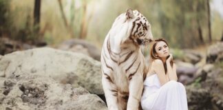 Co to jest ochroną ubezpieczeniowa?