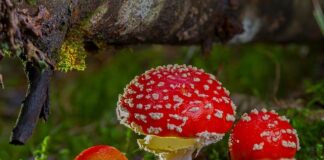 Kiedy rodzice są toksyczni?