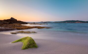 Ile za godzinę pracy na umowę zlecenie?