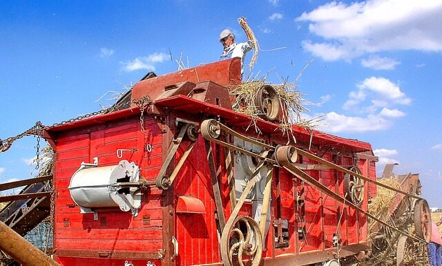 Jakich zawodów nie będzie za 20 lat?