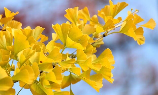 Czy na szkółce policyjnej dostaje się pieniądze? Czy na szkółce policyjnej dostaje się pieniądze?