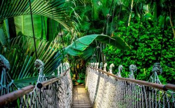 Jak długo jest ważny kurs pierwszej pomocy?