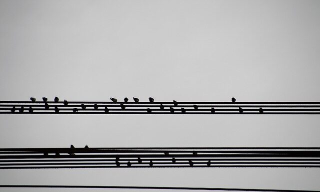 Co powinno zawierać podsumowanie biznesplanu?