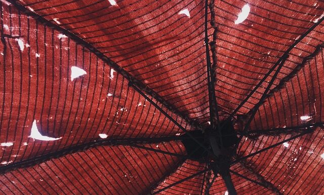 Po co się ubezpieczać?