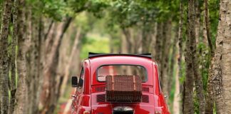 Czy 500+ podlega koordynacji?