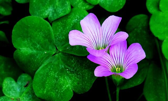 Jak przyciągnąć go do siebie?