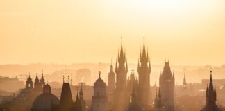 Jakie są moje cele zawodowe?