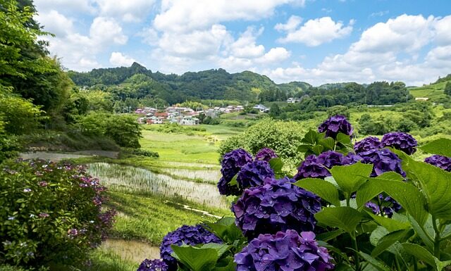 Czy tabata jest dla początkujących?