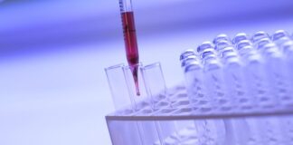 Co to znaczy słowo ekranizacja?