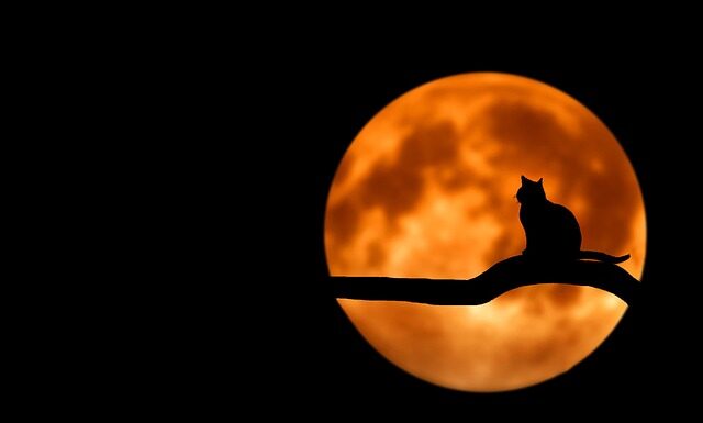 Jak ogarnąć domowy budżet?