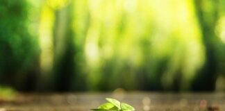 Jak znaleźć agenta ubezpieczeniowego?