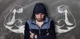 Jakie są rodzaje programów komputerowych?