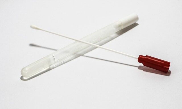 Jak pobrać za darmo CV za darmo?