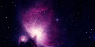 Ile czasu dziennie poświęcać na naukę?