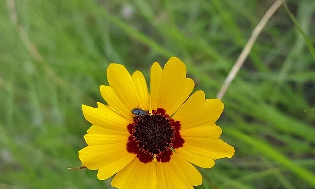 Jak unieważnić umowę?