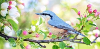 Jak wypromować mały biznes?