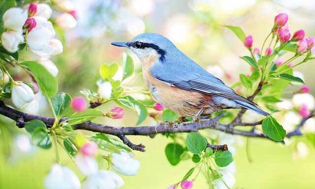 Jak wypromować mały biznes?