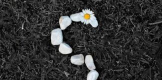 Co to jest SIWZ i co zawiera?