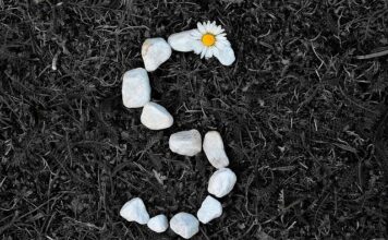 Co to jest SIWZ i co zawiera?