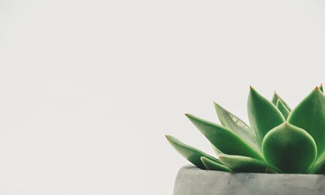 Ile wynosi minimalna łączna wysokość składek w pewnym kapitale Prudential? Ile wynosi minimalna łączna wysokość składek w pewnym kapitale Prudential?