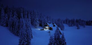 Jaki jest cel adaptacji pracownika do pracy?