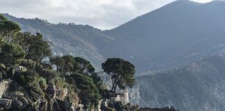 Ile kosztuje ASC Plan lekcji?