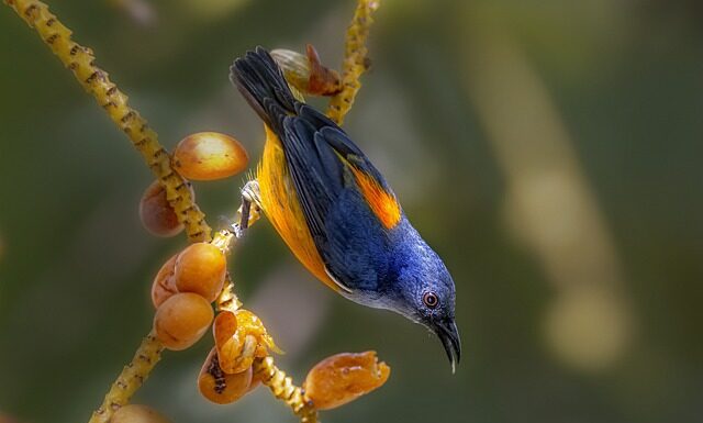 Kto wspiera start up?