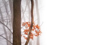 Jakie mogą być negatywne cechy charakteru?