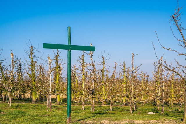 Ile kosztuje napisanie regulaminu sklepu internetowego? Ile kosztuje napisanie regulaminu sklepu internetowego?