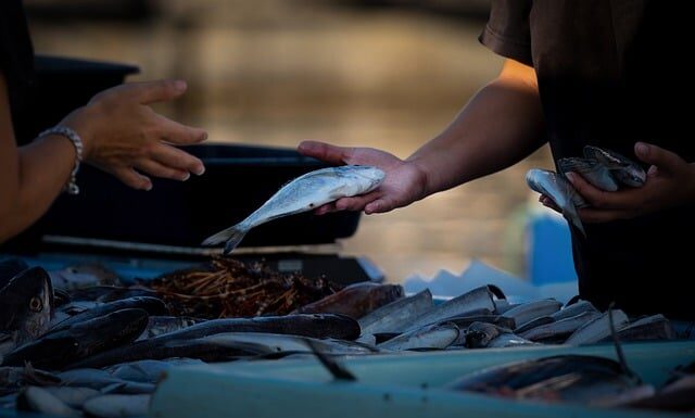 Co sprzedawać Online 2023?