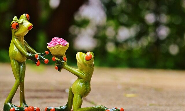 Kto musi mieć obowiązkowe OC?