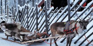 Ile slajdów na 20 minut prezentacji?