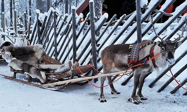 Ile slajdów na 20 minut prezentacji?