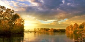 Czy w liście motywacyjnym musi być akapit?