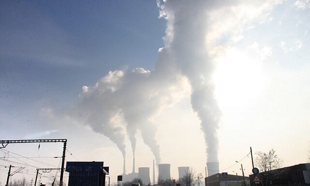 Jakie branże potrzebują pracowników?