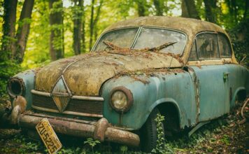 Co na pamięć i koncentrację dla dorosłych?