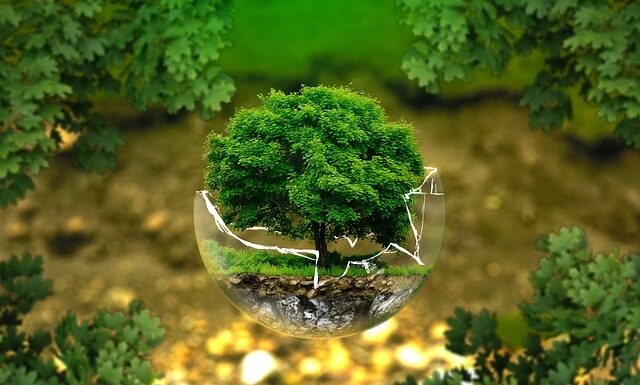 Jak zrobić dobry film?