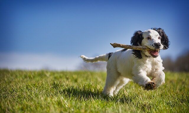 Czy można odzyskać zaległe 500?