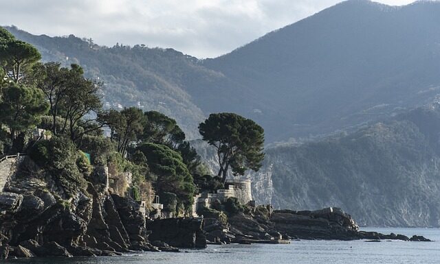 Ile kosztuje wystawienie domu na OLX?