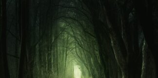 Jak zrobić przejście slajdu w Power Poincie?